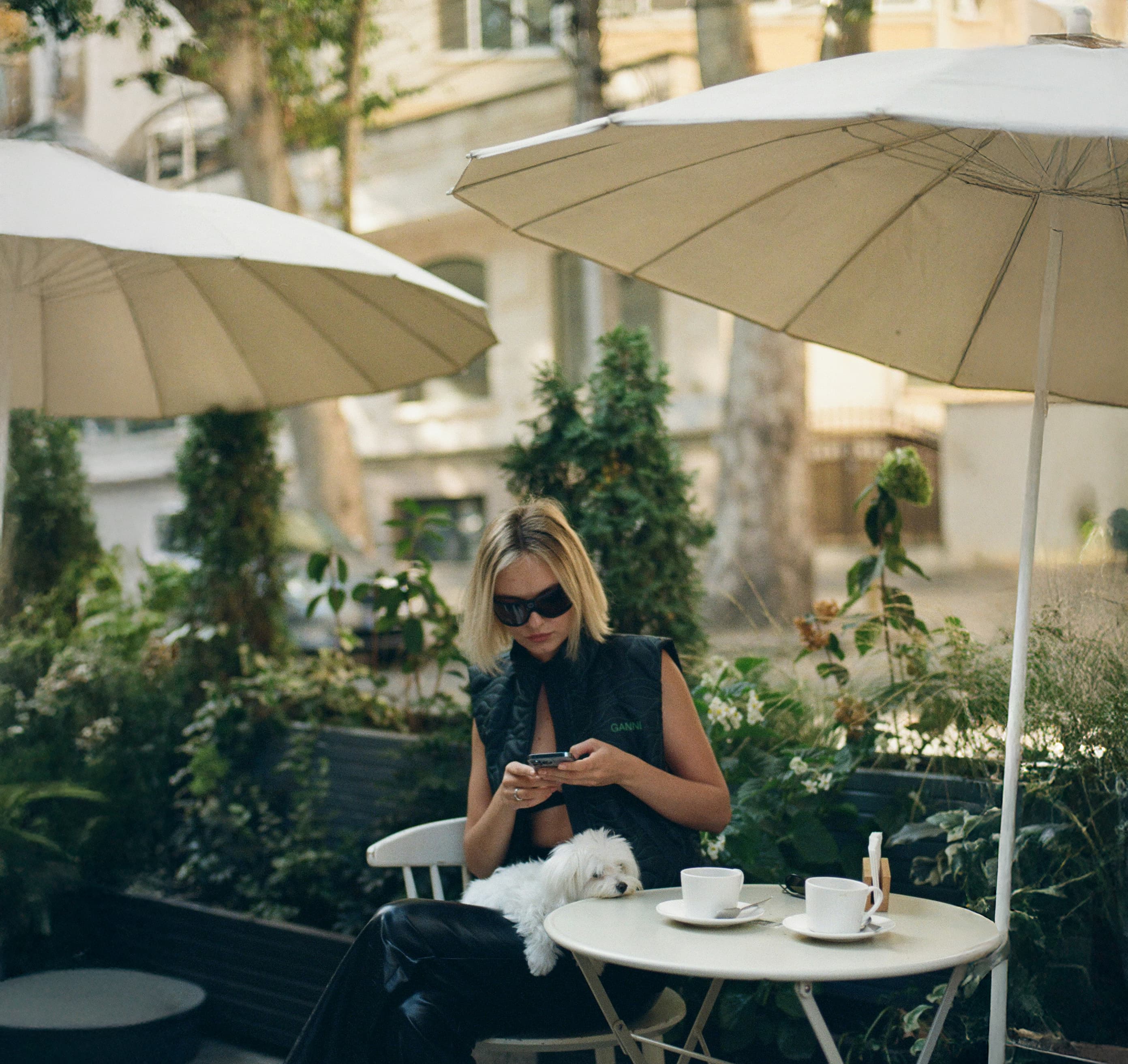 Frau mit Hund am Kaffeetisch nutzt die nobank Finanz-App für mehr finanzielle Freiheit